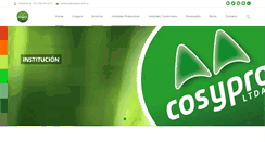 Desktop Screenshot of cosypro.com.ar